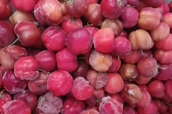 Acerola 1Kg